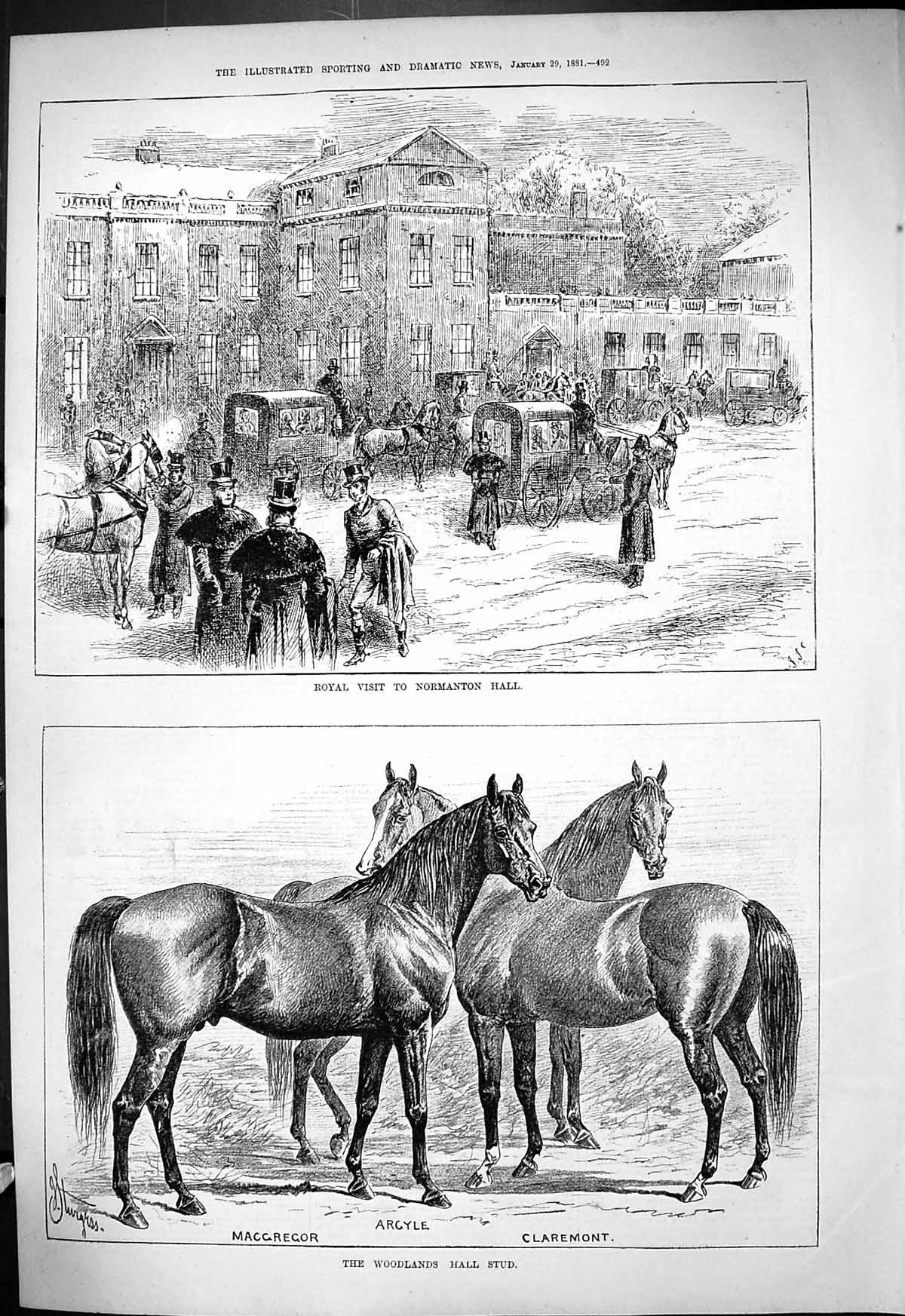 Old 1881 Royal Normanton Hall Woodlands Stud Horses Claremont Argyle Victorian