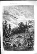 Original Old Antique Print 1881 Forest Fire Trees Mountains Fine Art Victorian