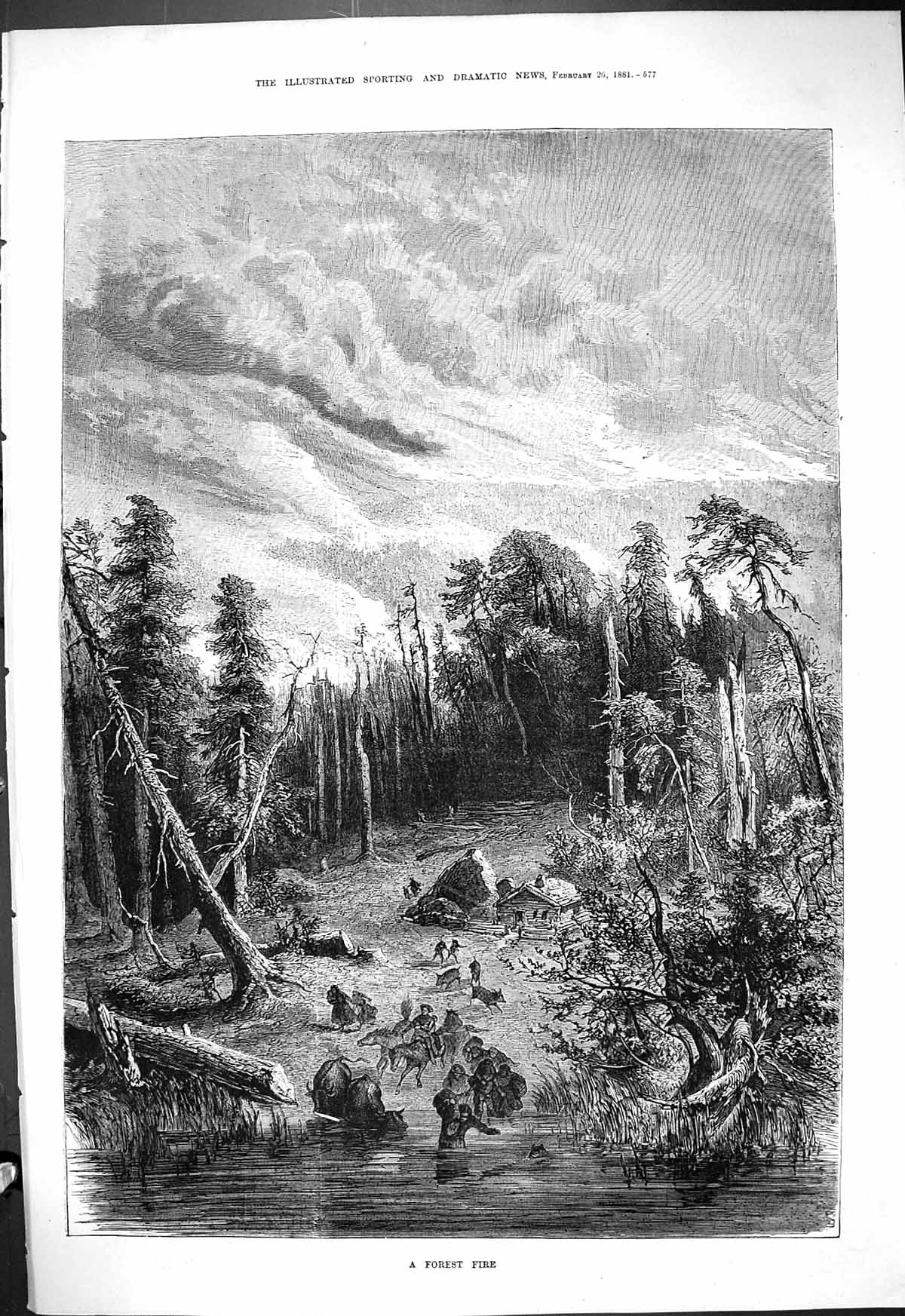 Original Old Antique Print 1881 Forest Fire Trees Mountains Fine Art Victorian
