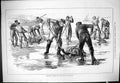 Old Antique Print 1881 Capturing Turtles Coast Labrador Men Ice Hunting 19th