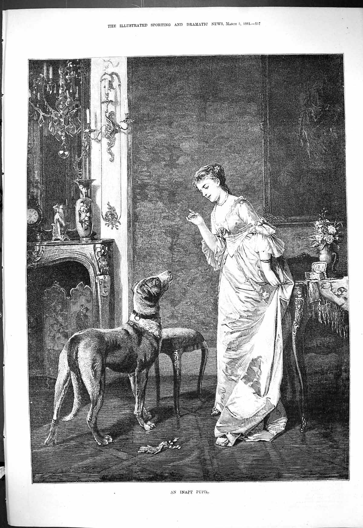 Original Old Antique Print 1881 Inapt Pupil Young Woman Pet Dog Training 19th