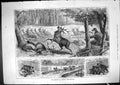 Original Old Antique Print 1881 Emperor Germany Deer Shooting Hunting Sport