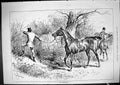 Old Antique Print 1881 Hunting Horses Huntsmen Not Negotiable Sport Hedge 19th