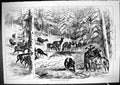 Original Old Antique Print Feeding Deer Mar Forest Animals 1881 19th