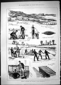 Antique Print Museum Economic Fish Culture South Kensington Salmon Ova 1881