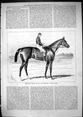Antique Print Peregrine Horse Winner Two Thousand Guineas Stakes Sport 1881