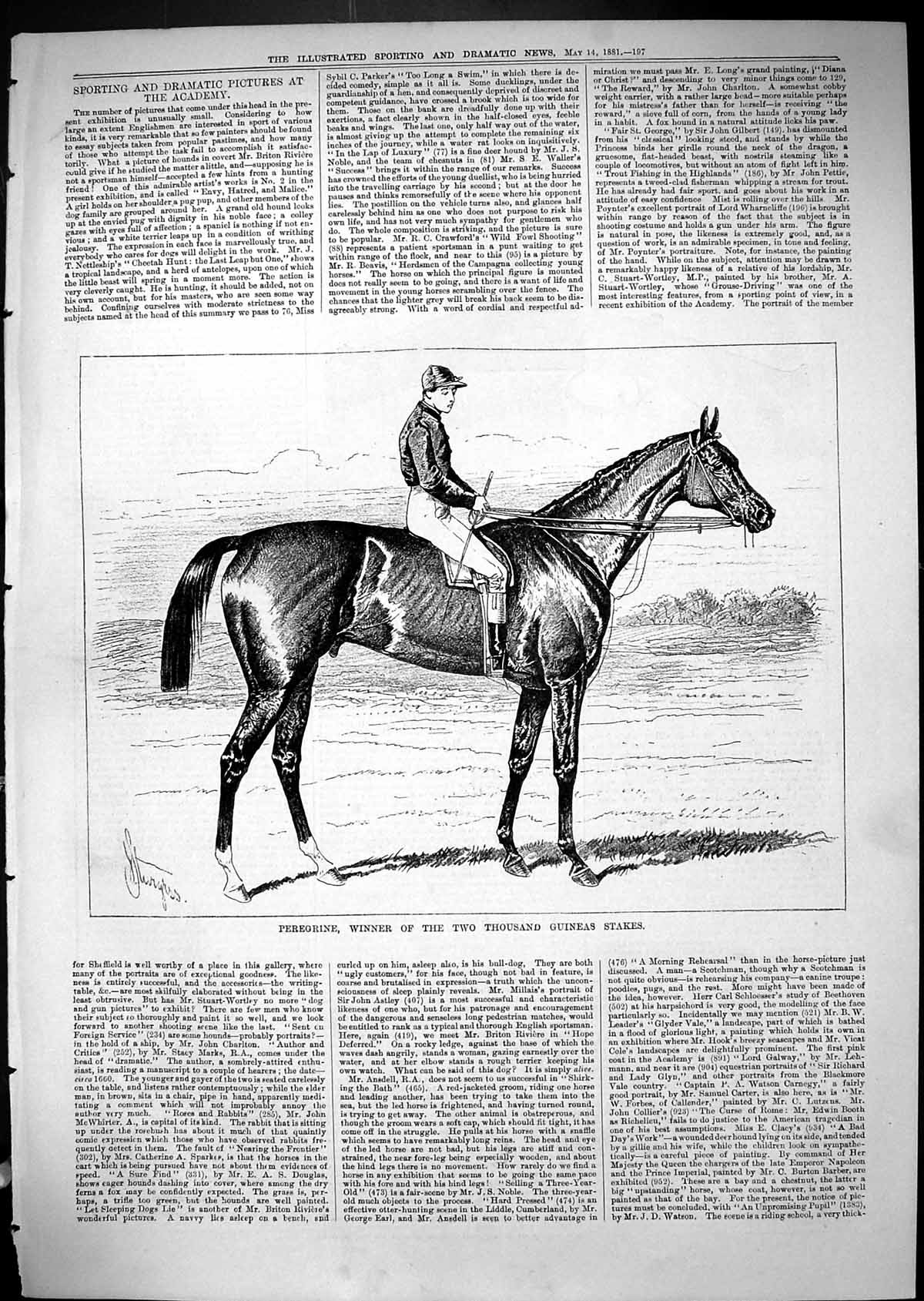Antique Print Peregrine Horse Winner Two Thousand Guineas Stakes Sport 1881