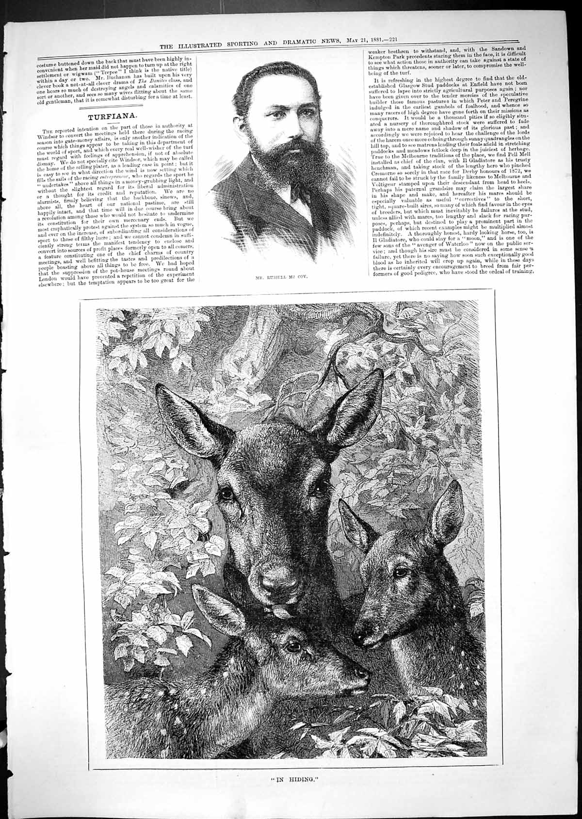 Antique Old Print 1881 Portrait Mr Russell Mccoy Deer Fawn Hiding In The Bush