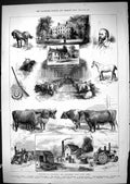 Old 1881 Dytchleys Shorthorn Dairy Farm Essex Collinson Hall Mazurka Victorian