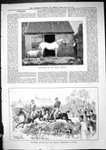 Antique Print 1881 Strathconan Horse Stable Companion HousehBrigade Polo Po