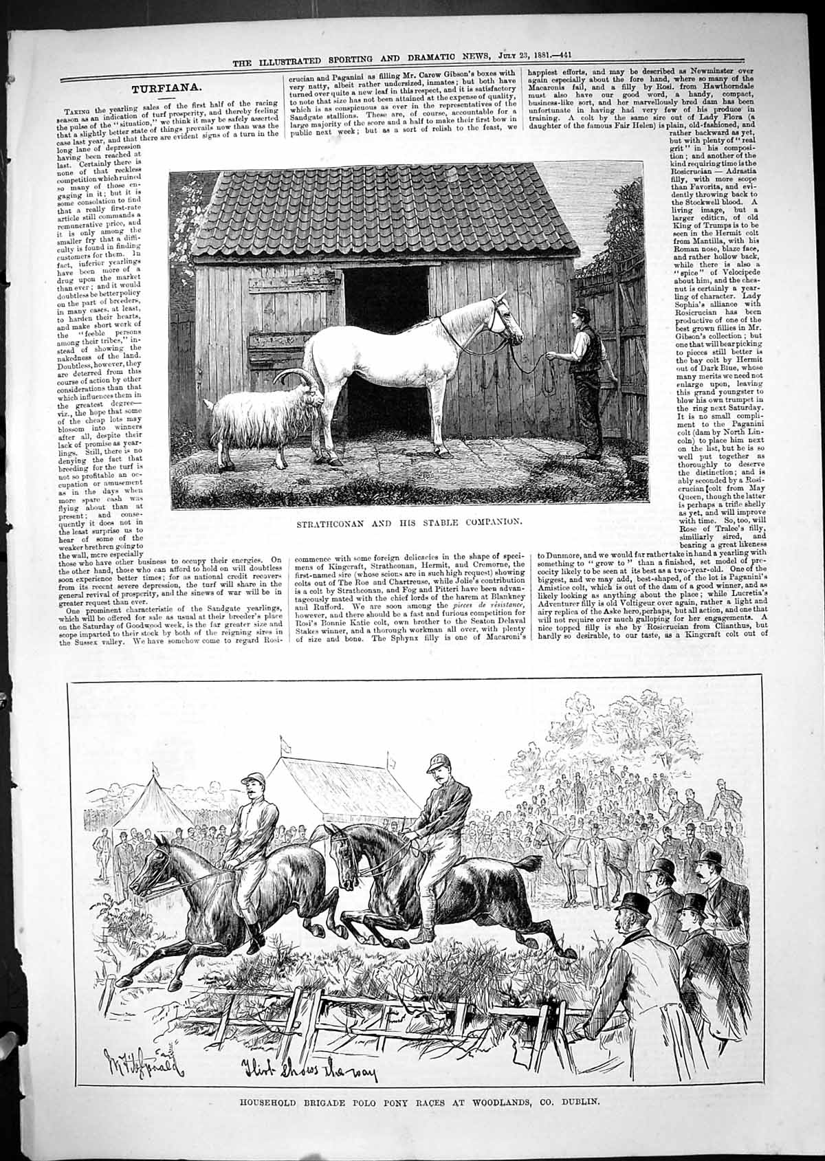 Antique Print 1881 Strathconan Horse Stable Companion HousehBrigade Polo Po