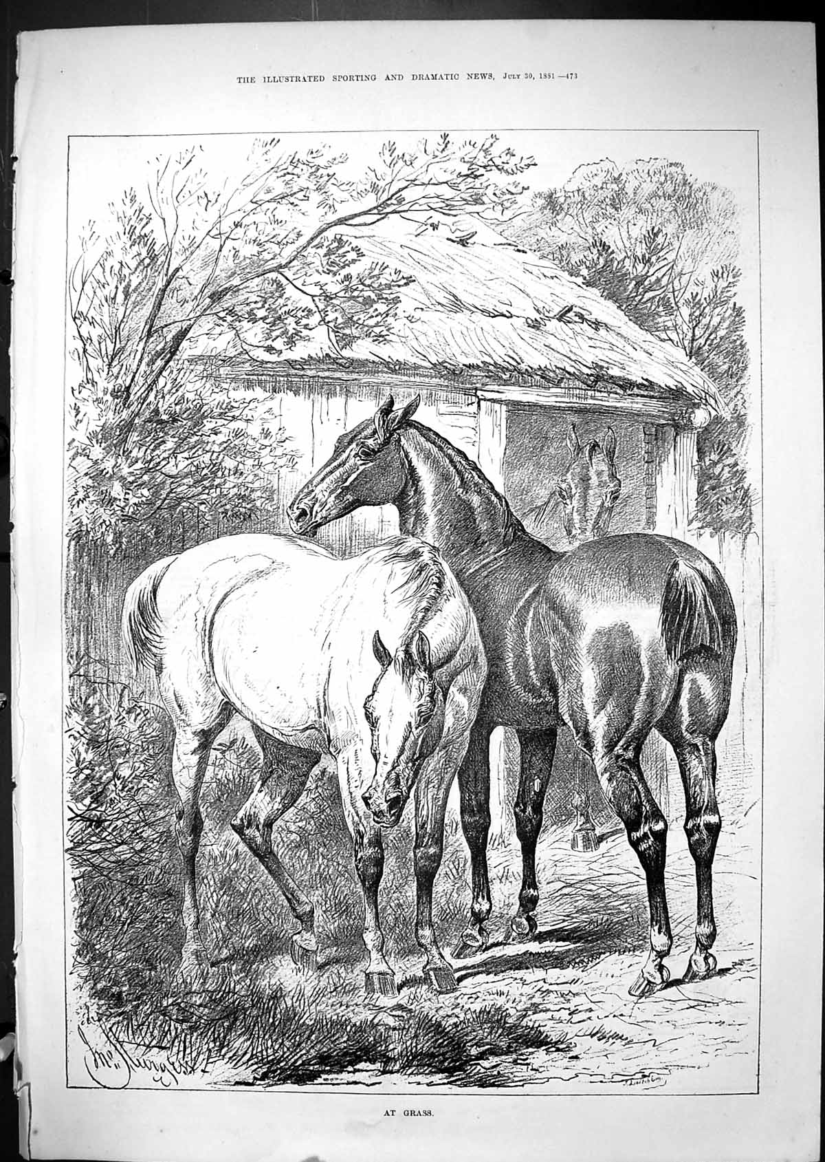 Original Old Antique Print 1881 Horsese Grazing Grass Stable Yard Victorian