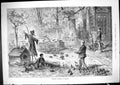 Old Antique Print 1881 Pheasant Rearing Germany Birds Industry Breeding 19th