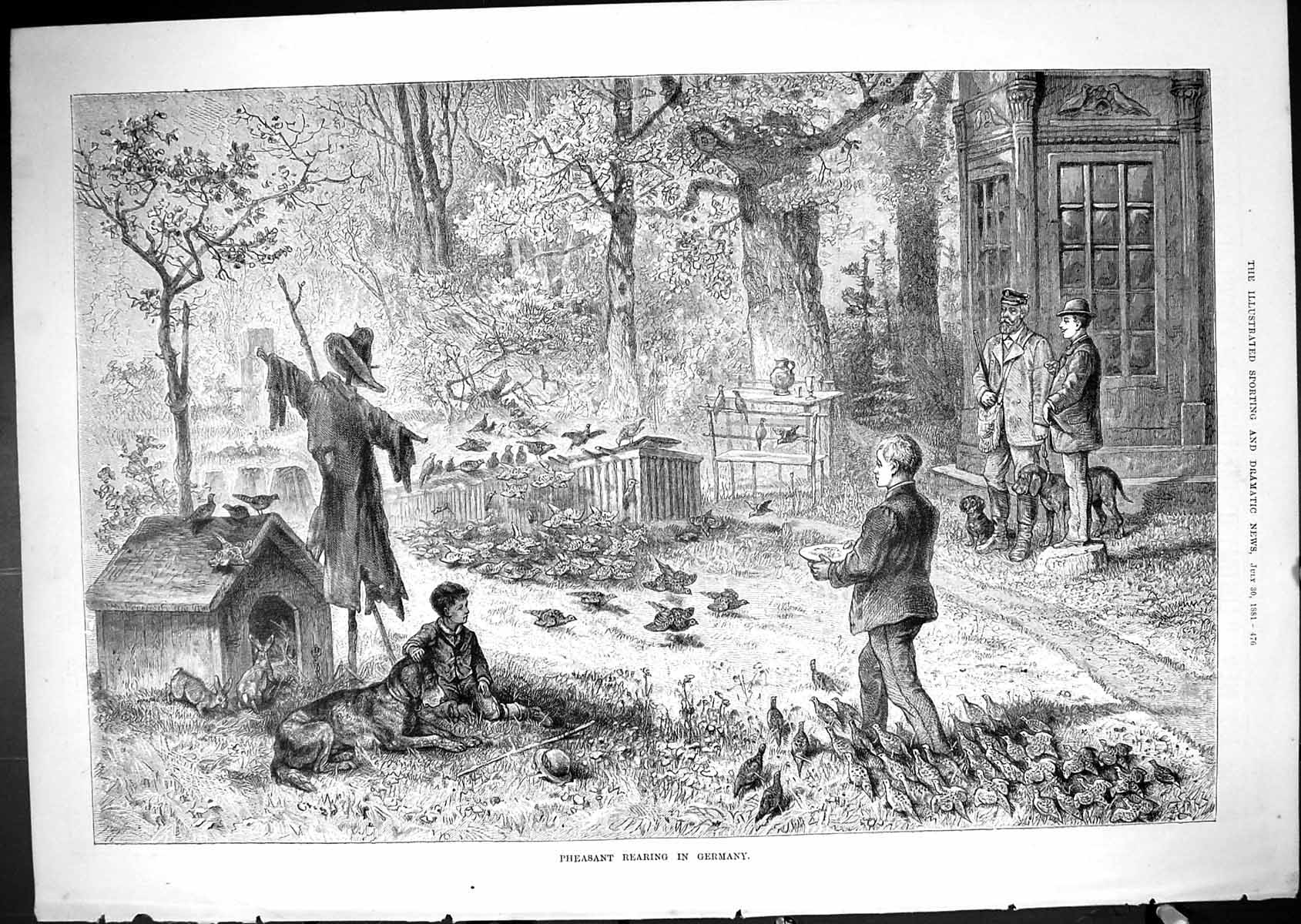 Old Antique Print 1881 Pheasant Rearing Germany Birds Industry Breeding 19th