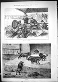 Antique Old Print 1881 Regatta Havre Yachts Sailing Puppies Dogs Milk Bowl 19th
