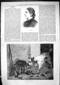Antique Old Print 1881 Portrait Robinson Beautiful Woman Cat Dog Animals Pets