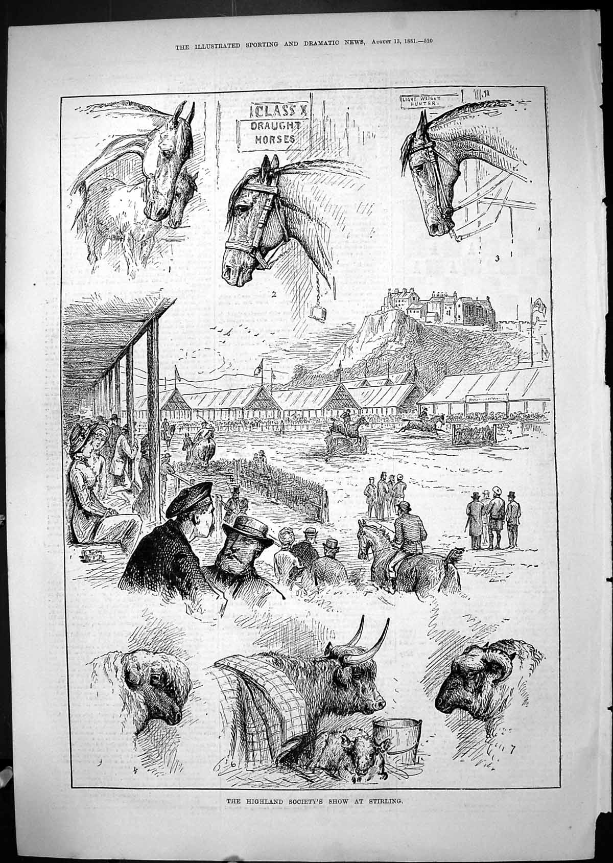 Old 1881 Highland Society Show Stirling Scotland Draught Horses Cows Victorian
