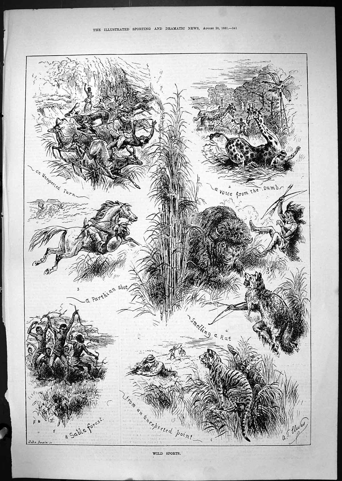 Antique Print 1881 Wild Sports Hunting Sable Forest Giraffe Buffalo Horses 19th