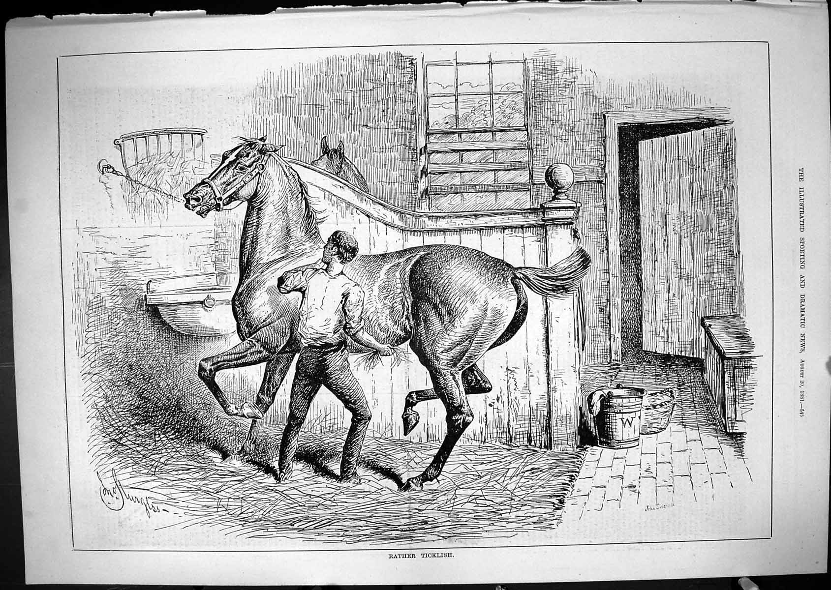 Old Antique Print 1881 Rather Ticklish Horse Stable Scene Groomer Swain 19th