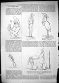 Original Old Antique Print Captious Critic Theatre Music Composer 1881 19th