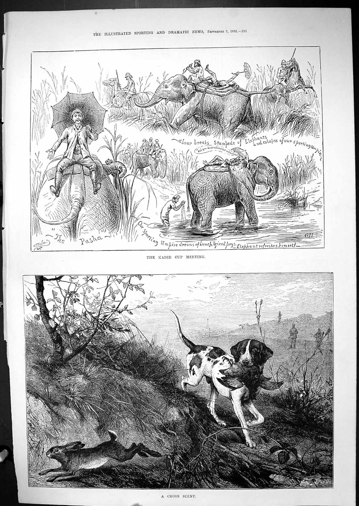 Antique Print 1881 Hunting Kadir Cup Meeting Elephants Dog Bird Hare Sport 19th