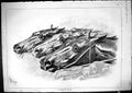 Antique Old Print 1881 Punishing Finish Horse Racing Dead Heat Sport Sturgess