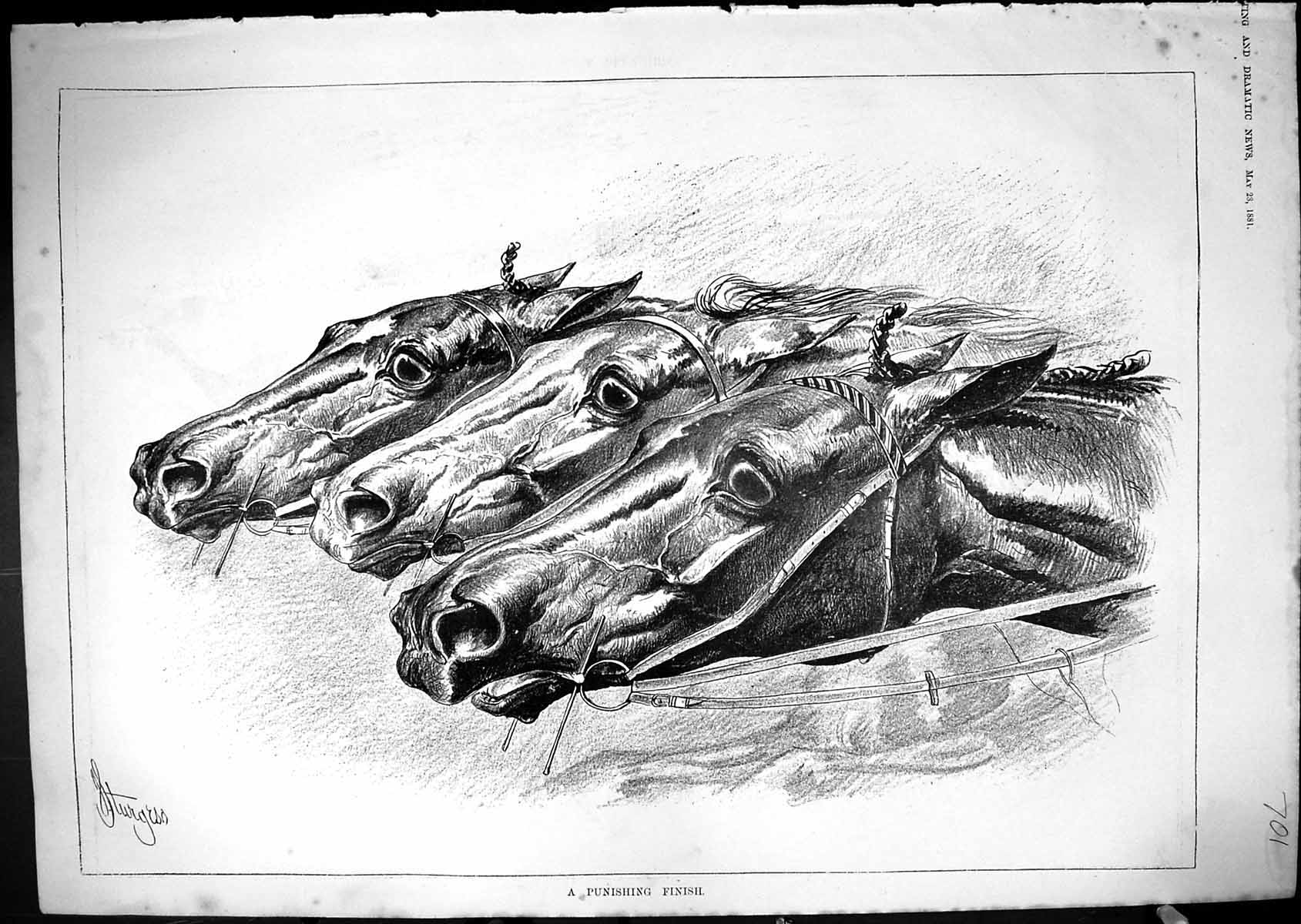 Antique Old Print 1881 Punishing Finish Horse Racing Dead Heat Sport Sturgess