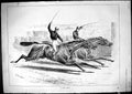 Original Old Antique Print Horse Racing Sport Jockeys Dead Heat Sturgess 1881