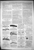 Antique Old Print 1881 Holland Bbrunn Guns Tolley Wildfowl Midland Whistler