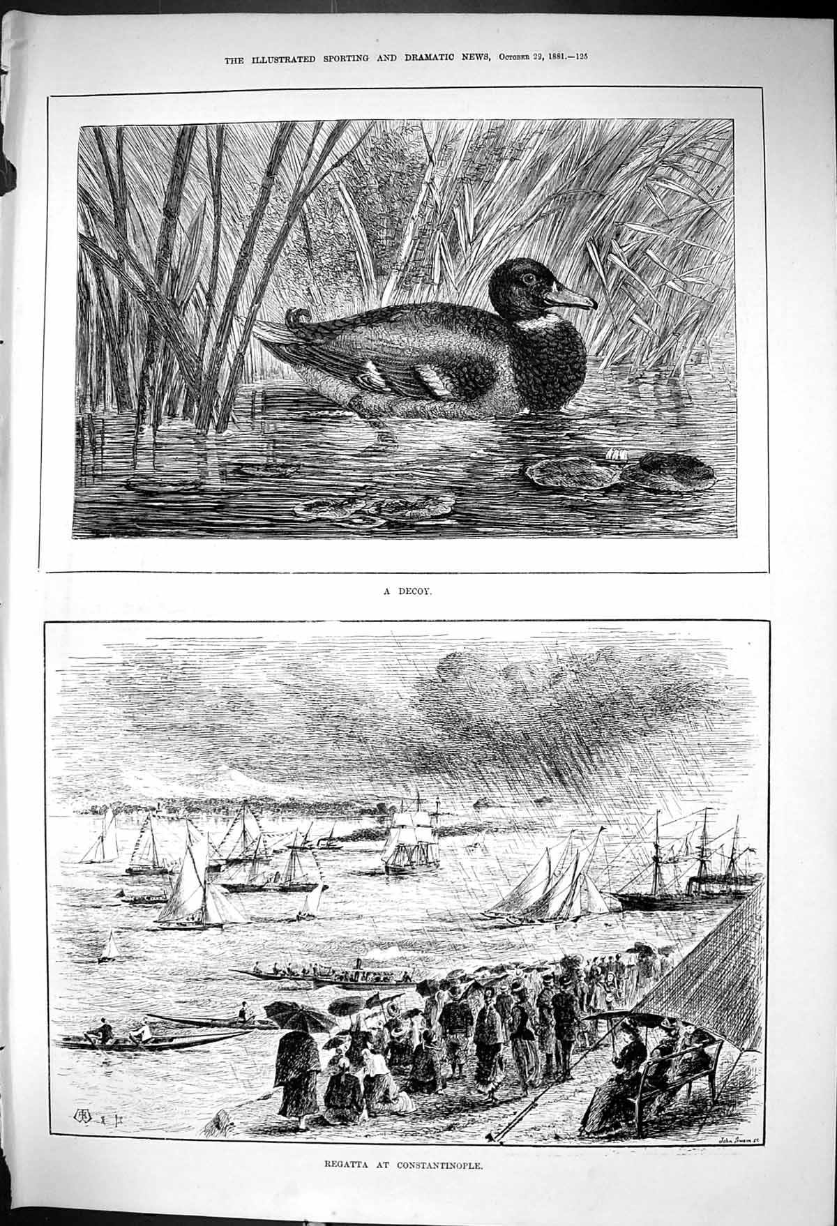 Old 1881 Decoy Duck River Scene Yachting Regatta Constantinople Sport Victorian
