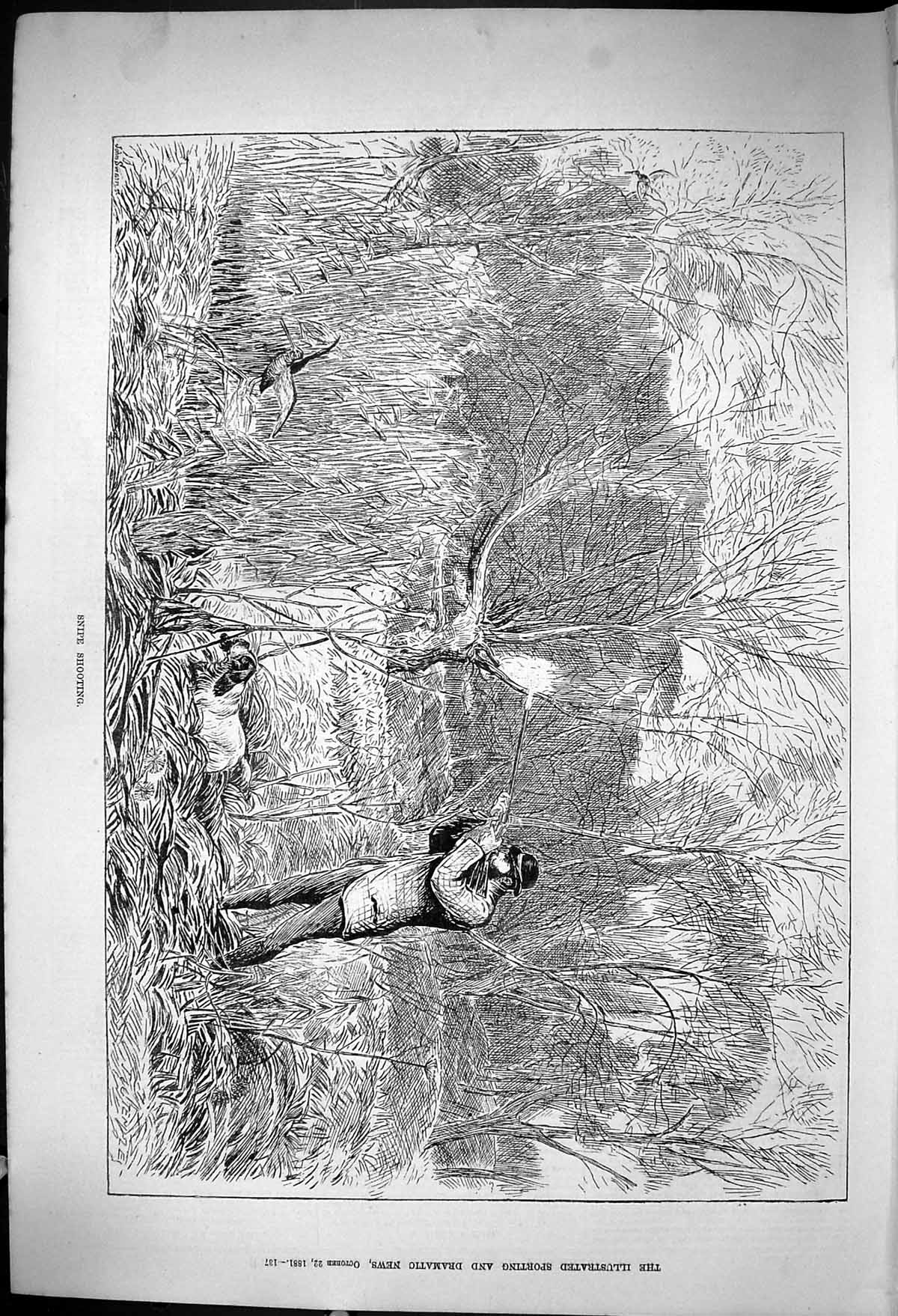 Antique Old Print 1881 Snipe Shooting Hunting Birds Dog Huntsman Sport Swain