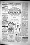 Old 1881 Newmarket Horse Clipper Holland Guns Midland Tolley Wildfowl Victorian
