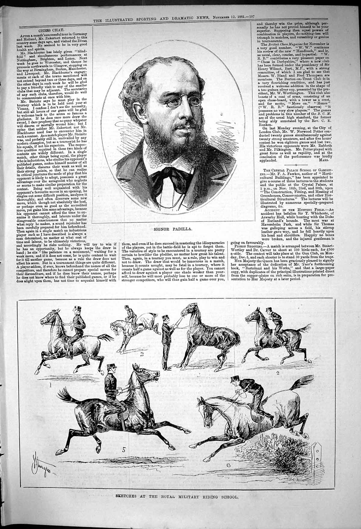 Old Antique Print 1881 Signor Padilla Royal Military Riding School Horses 19th