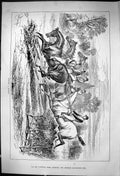 Old Antique Print 1881 Bowling Hurdle Horses Jockeys Knocking Down Fence 19th