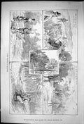 Original Old Antique Print 1881 Covert Shooting Hunting Laurels Birds Sport