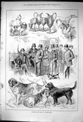 Old 1881 National Dog Show Birmingham Bayard Dusk Prizes Exhibitors J Victorian