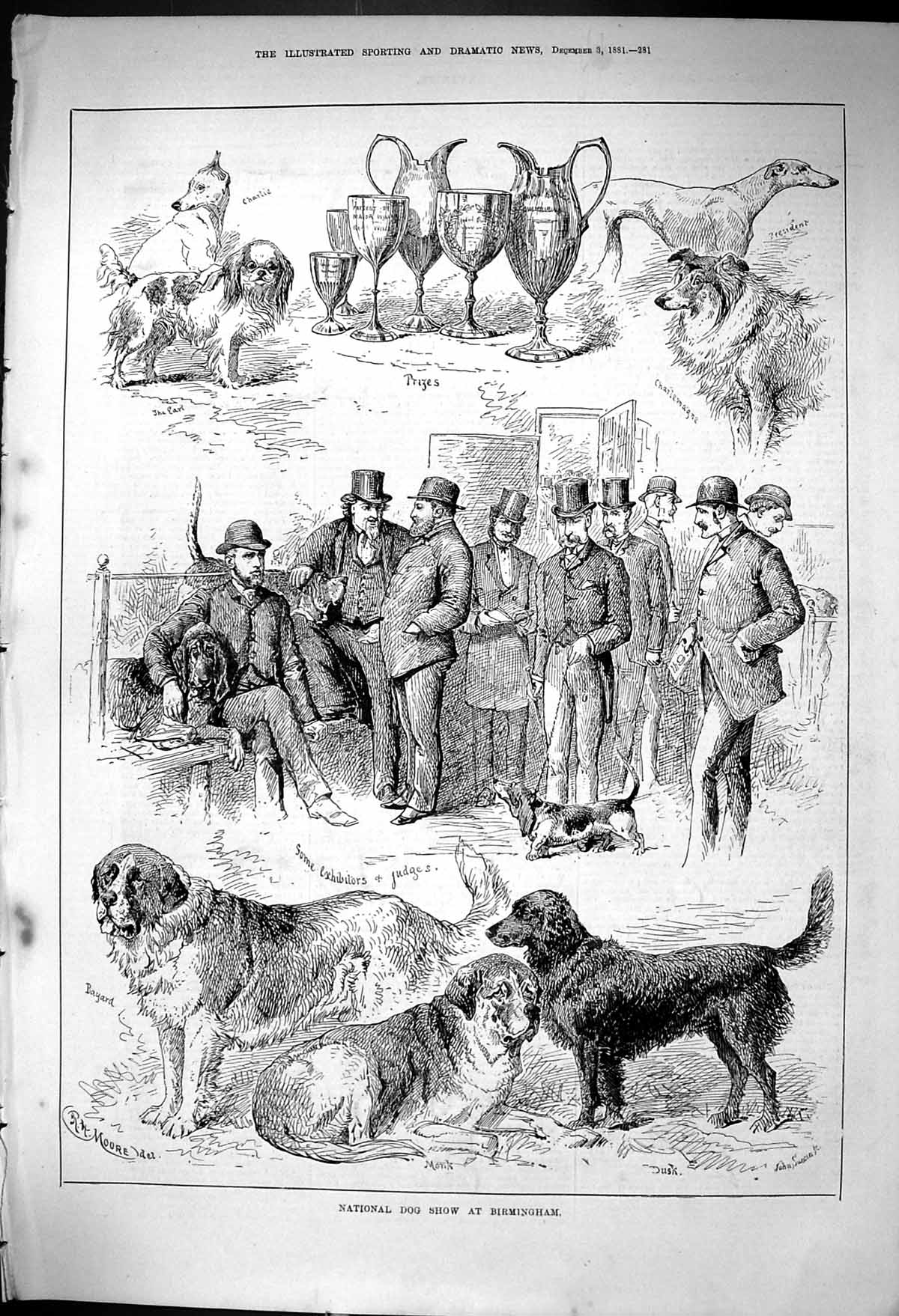 Old 1881 National Dog Show Birmingham Bayard Dusk Prizes Exhibitors J Victorian