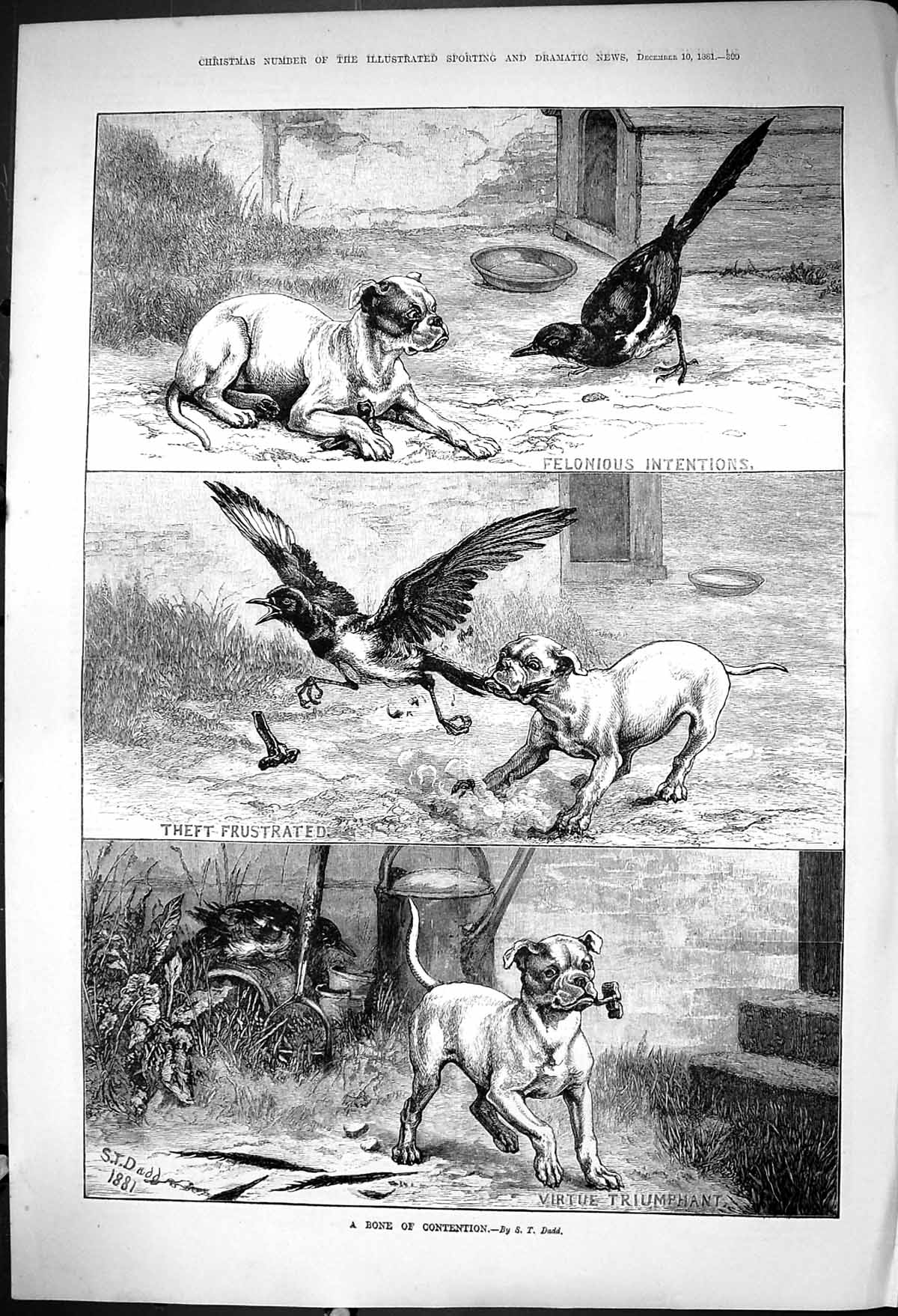 Original Old Antique Print 1881 Bone Contention Dogs Birds Fighting Dadd 19th