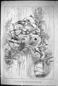 Old 1881 Too Much A Good Thing Hunting Horse Refusing Fence Sport Joh Victorian