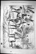 Old 1881 Merry Christmas Horses Men Dog Lady Street Scene John Swain Victorian