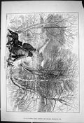 Old 1881 Stalking Wild Ducks Hunting Sport Shooting John Swain Temple Victorian
