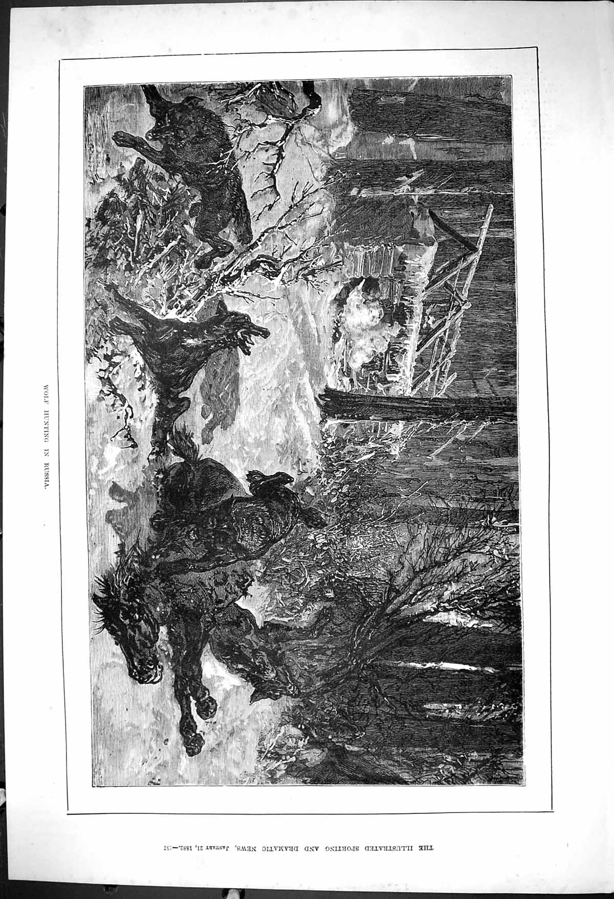 Original Old Antique Print 1882 Wolf Hunting Russia Sport Shooting Fine Art