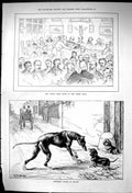 Old 1882 Boar'S Head Feast Urban Club Different Styles Beauty Hounds Victorian