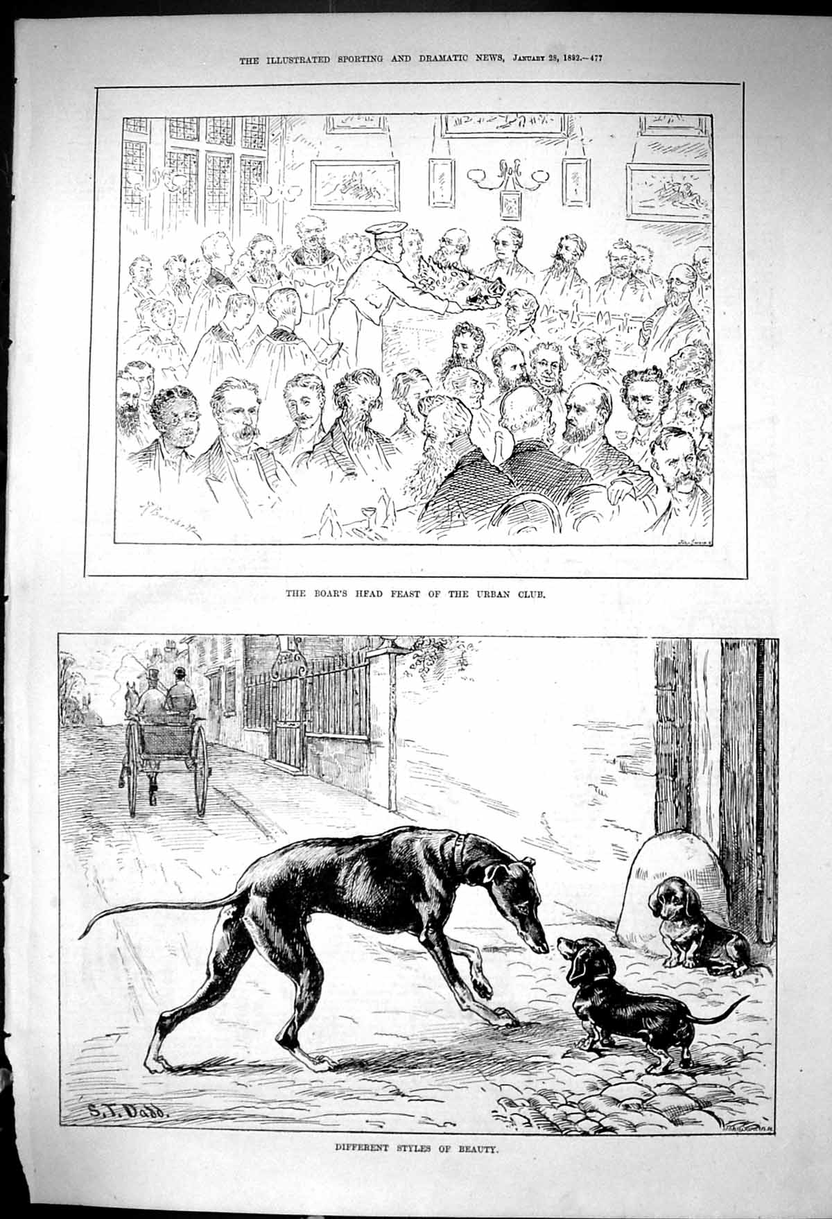 Old 1882 Boar'S Head Feast Urban Club Different Styles Beauty Hounds Victorian