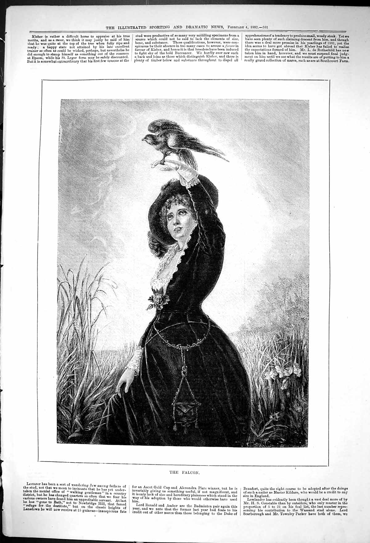 Original Old Antique Print 1882 Falcon Bird Prey Beautiful Woman 19th
