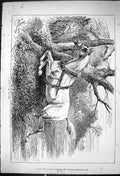 Original Old Antique Print 1882 Spark Fire Runnaway Horse Hunting Sport 19th