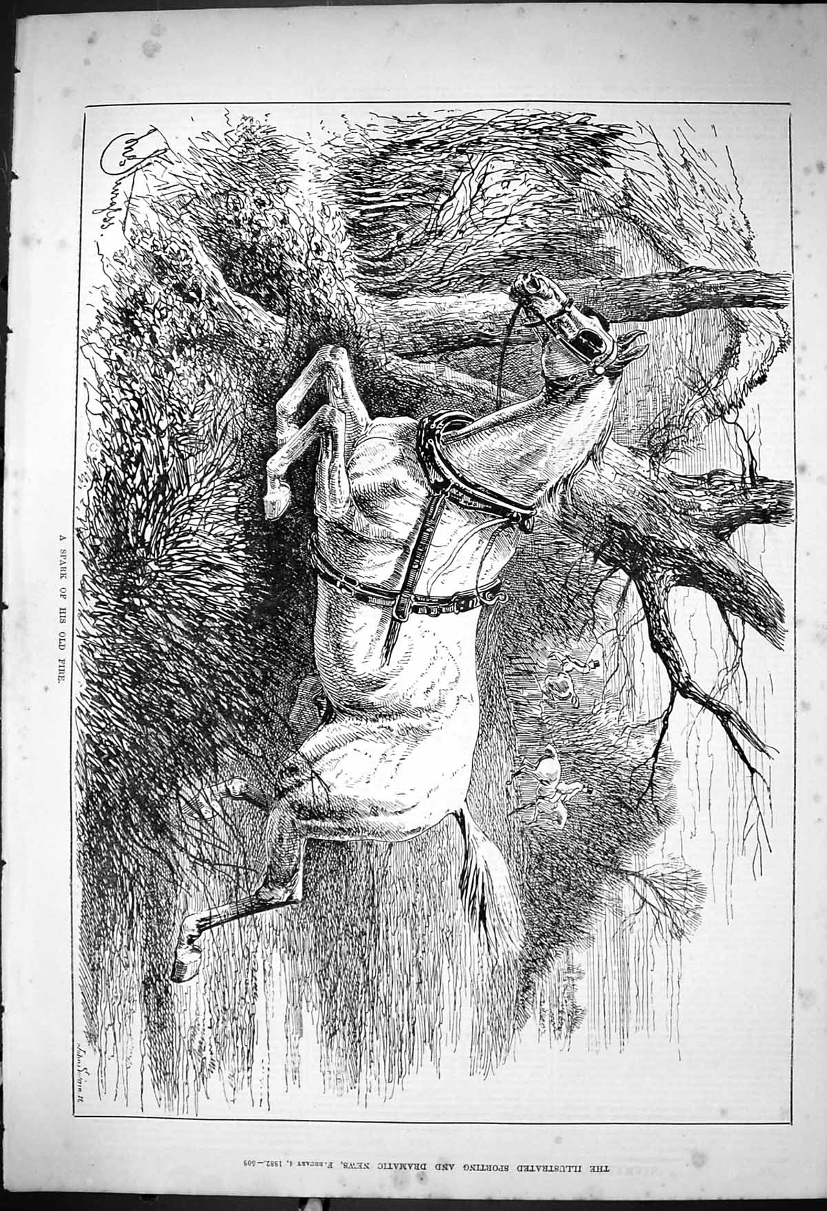 Original Old Antique Print 1882 Spark Fire Runnaway Horse Hunting Sport 19th