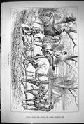 Old 1882 Farming Agriculture Horses Plough Hunting Huntsmen Sport Swa Victorian