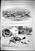 Old 1882 Gymkhana Malta Horse Racing Side Saddle Race Happy Family Fa Victorian