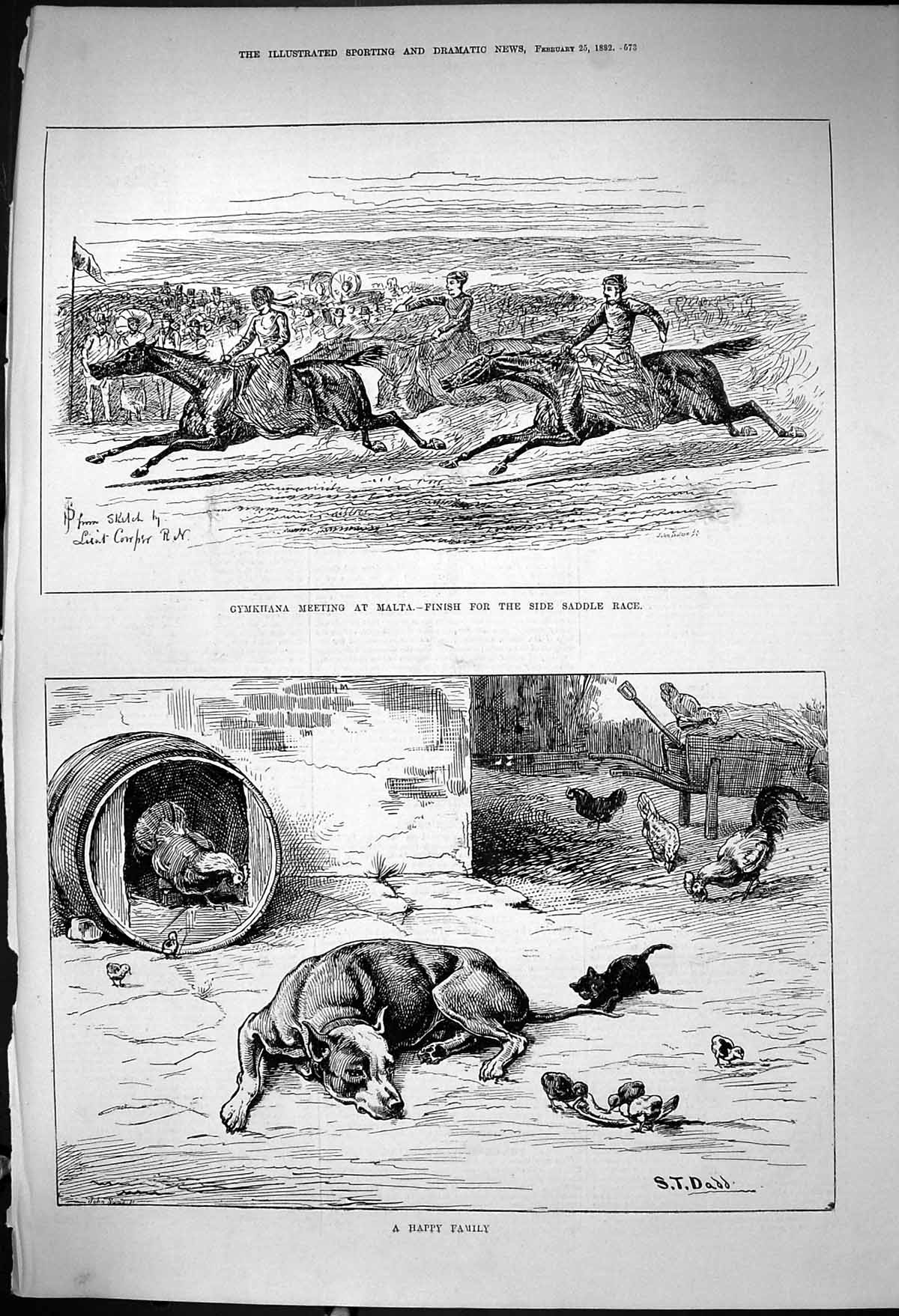 Old 1882 Gymkhana Malta Horse Racing Side Saddle Race Happy Family Fa Victorian